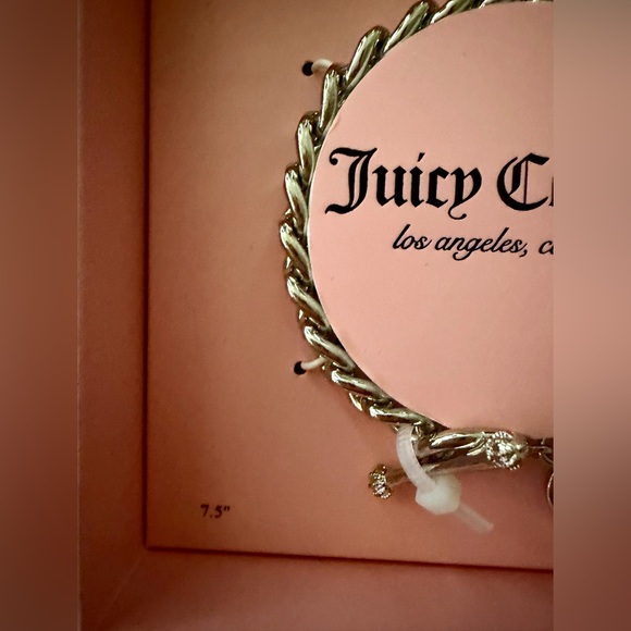 Juicy Couture Silver Bracelet BNIB - Picture 3 of 4